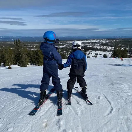 Natur & Ski - 2 Sov - Elbillader - 60 Min Osl