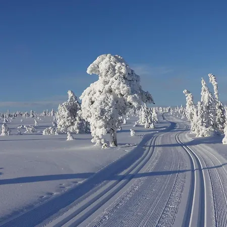 Natur & Ski - 2 Sov - Elbillader - 60 Min Osl Guest house Loten